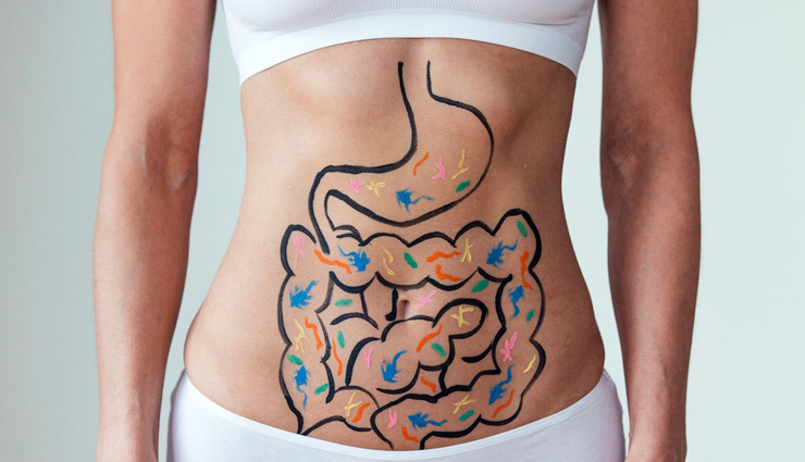 yogurt,yogurt health benefits,healthy food yogurt,yogurt for good health,health benefits of yogurt,Health,Health tips,yogurt news