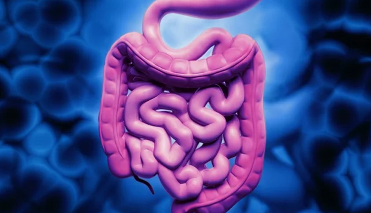 bergamot fruit,bergamot citrus,bergamot uses,bergamot benefits,bergamot essential oil,bergamot in cooking,bergamot fragrance,bergamot tea,bergamot recipes,bergamot health properties,bergamot skin care,bergamot essential oil benefits,bergamot and cholesterol,bergamot antioxidants,bergamot in perfumery