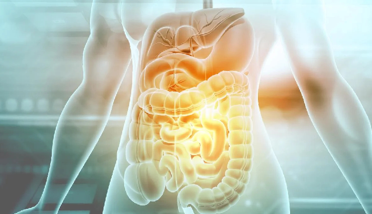 6 Natural Ways To Help You Improve Digestion