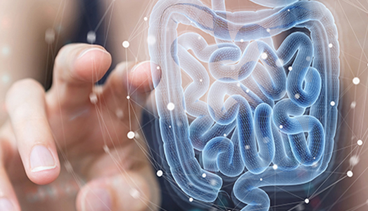 green tea with honey,benefits of drinking green tea with honey,health benefits of drinking green tea with honey,green tea,green tea benefits,honey benefits,green tea health benefits,honey health benefits,Health,Health tips