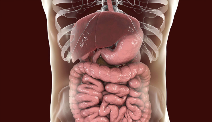 5 Yoga Asanas That Help To Improve Digestion