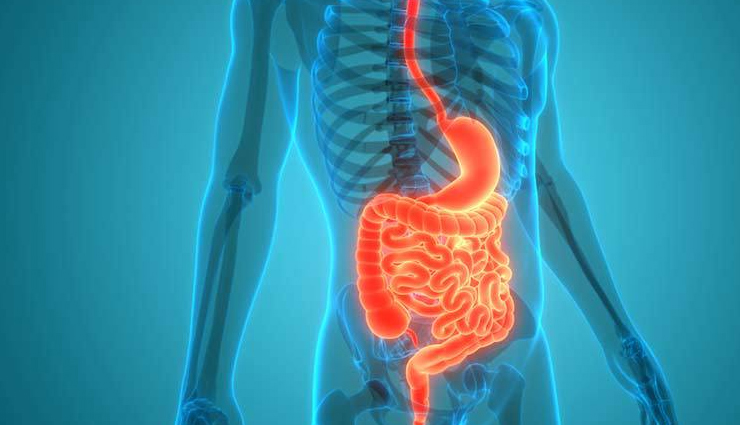 side effects of chia seeds,chia seed side effects,risks of eating chia seeds,potential side effects of chia seed consumption,chia seed drawbacks and side effects,negative effects of eating chia seeds,adverse reactions to chia seeds,chia seed health risks,possible side effects of chia seed consumption,chia seed side effects and precautions