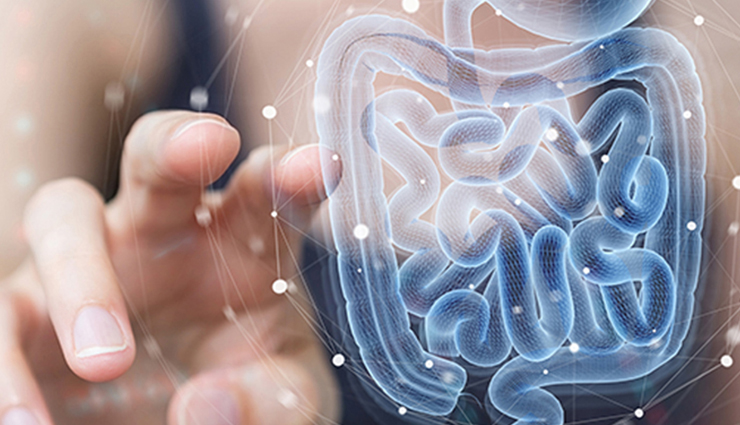 acorn squash benefits,acorn squash health benefits,healthy living,Health tips