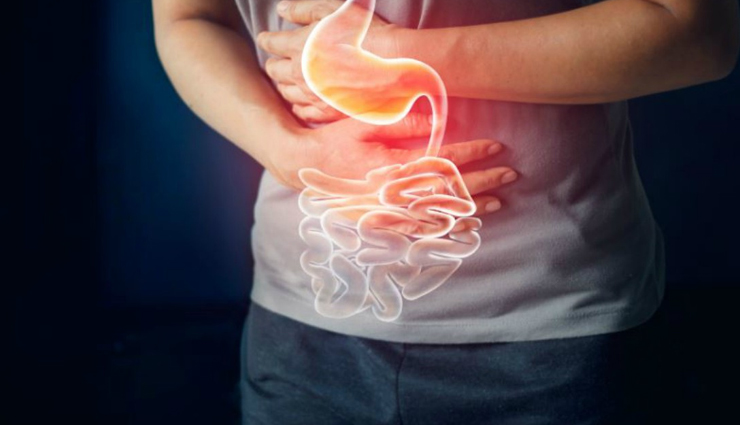 amla powder,amla powder health benefits,amla for health,Health tips,healthy food,healthy life