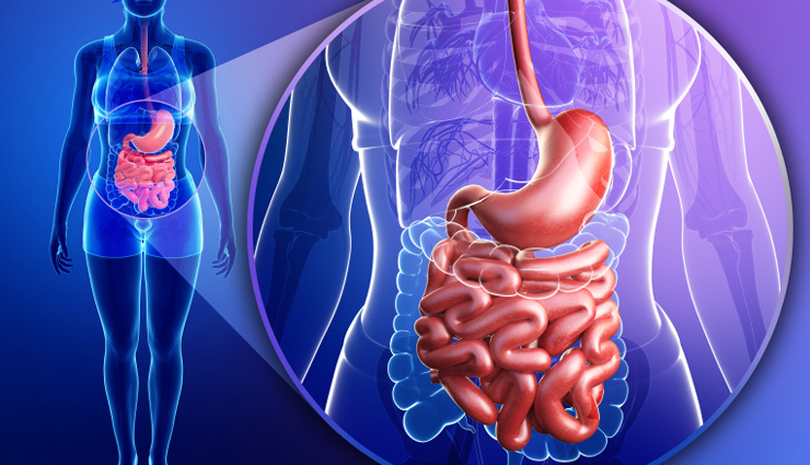 purple potatoes health benefits,least known health benefits,purple potatoes nutrition,antioxidant-rich foods,dietary fiber sources,lowers blood pressure,reduces oxidative stress,prevents blood clots,cancer risk reduction,digestive health,heart health,anthocyanins,chlorogenic acid,andes mountain region,solanaceae family