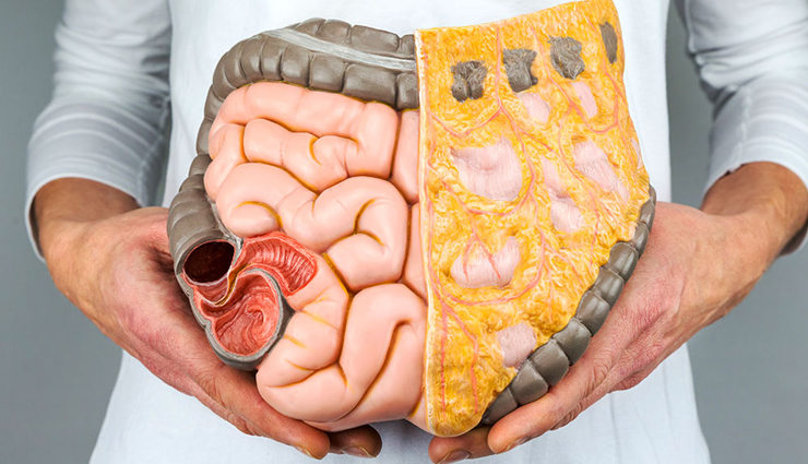 jicama benefits,health benefits,Health tips,jicama health benefits