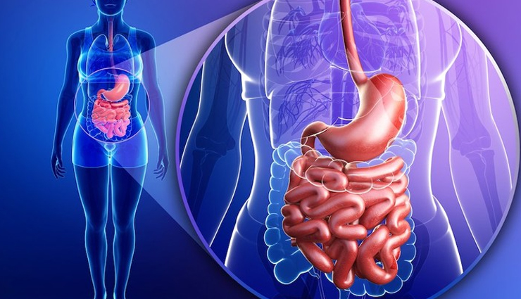 औषधीय गुणों के लिए जाना जाता हैं शहद, गर्म पानी में पिएं मिलाकर, मिलेंगे ये फायदे honey,honey benefits,honey benefits for health,honey benefit for skin,honey in warm water,warm water honey benefits,Health,healthy living,health tips in hindi