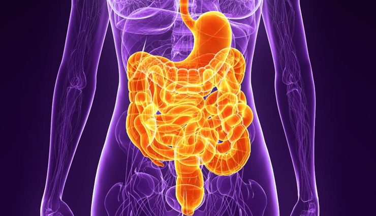 health benefits of isabgol,isabgol for digestive health,psyllium husk benefits,isabgol weight management,isabgol for cholesterol,blood sugar control with isabgol,isabgol gut health,colon cleansing benefits of isabgol,isabgol for hemorrhoid relief,isabgol for clear skin