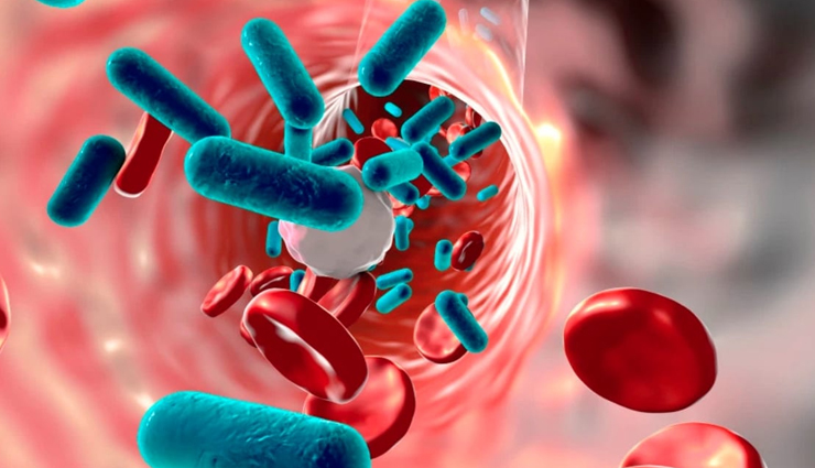 dill during pregnancy,pregnancy health tips,fitness tips health benefits of dill