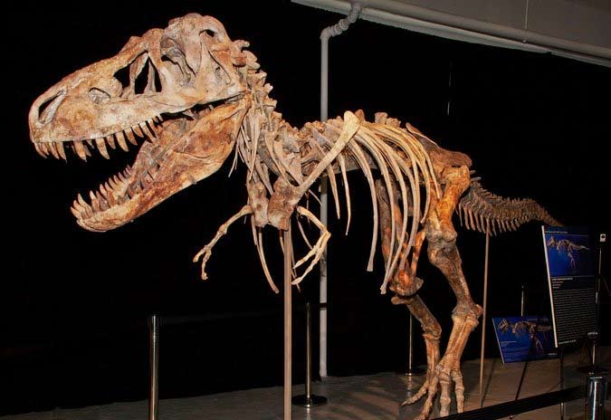 biggest things ever stolen,things stolen,weird things ever stolen stolen things