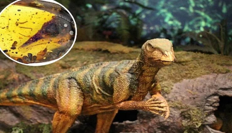 मिला 990 लाख साल पुराने दुनिया के सबसे छोटे डायनासोर का अवशेष