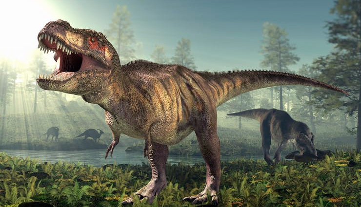 डायनासोर भी परेशान रहते थे छींक-खांसी और बुखार से, स्टडी में सामने आई चौकने वाली बात