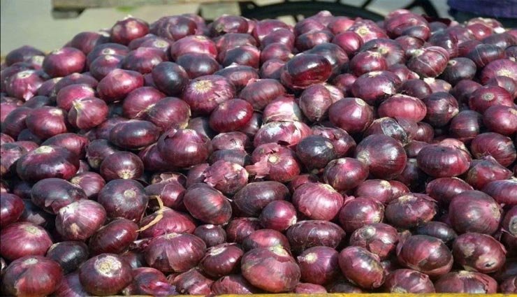 weird news,weird incident,disease by onion,usa,red onions salmonella