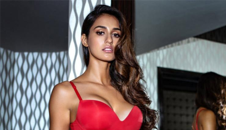 disha patani,bharat,disha patani news,disha patani movie,bharat,bharat box office report,entertainment,bollywoodq