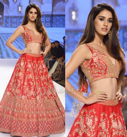 Viral Hot Picture: ब्लू बिकनी में दिशा पटानी ने इंटरनेट पर लगाई आग bollywood,disha patani,disha patani bikini photo,disha patani photo