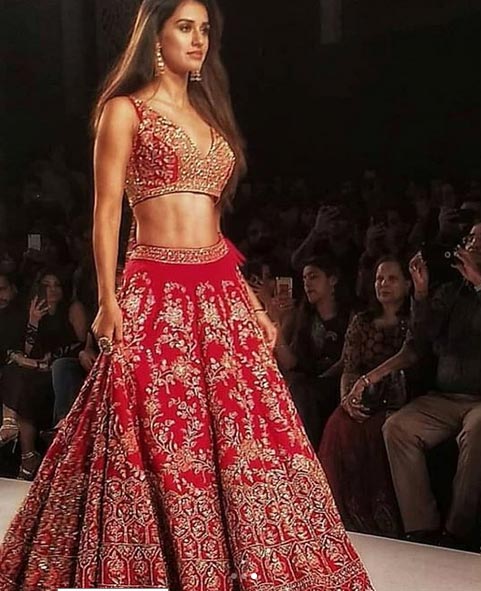 Viral Hot Picture: ब्लू बिकनी में दिशा पटानी ने इंटरनेट पर लगाई आग bollywood,disha patani,disha patani bikini photo,disha patani photo