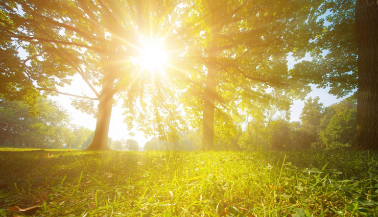 seasonal affective disorder,home remedies for seasonal affective disorder,home remedies,Health tips,fitness tips