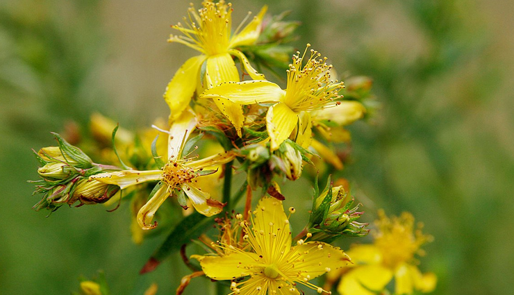 seasonal affective disorder,home remedies for seasonal affective disorder,home remedies,Health tips,fitness tips