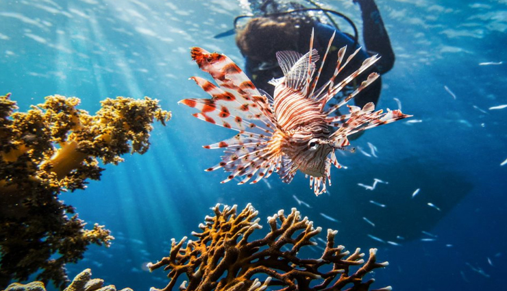 thailand,thailand tourism,tourist places in thailand,holidays,tourism,travel tips,thailand travel news,thailand travel package,thailand travel guide,thailand travel from india,thailand travel advisory coronavirus,thailand travel advice,thailand travel advisory india,thailand travel article,thailand travel blog,thailand travel coronavirus,thailand travel cost from india,thailand travel destinations,thailand travel flights,thailand travel facts,thailand travel holidays,thailand travel hotels,thailand travel hong kong,thailand travel india