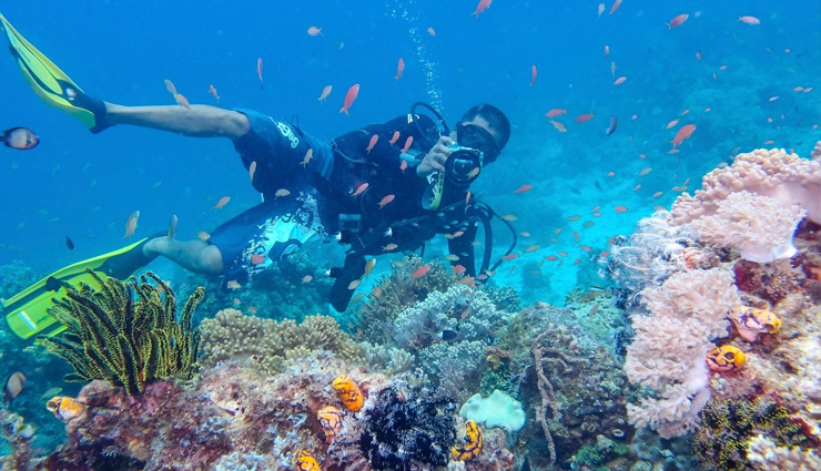 10 Most Amazing Places To Try Diving in Southeast Asia