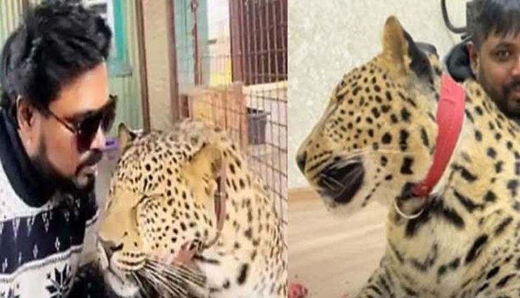 अपने पालतू जानवरों के साथ ही लौटना चाहता हैं यूक्रेन में फंसा यह भारतीय डॉक्टर, पाल रखे हैं पैंथर और जगुआर