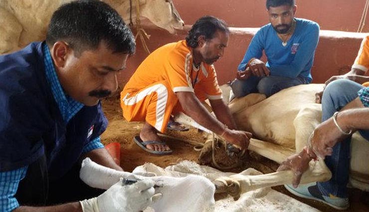 weird story,man treating naimals for free,man in india making prosthetics for animals,dr tapesh mathur