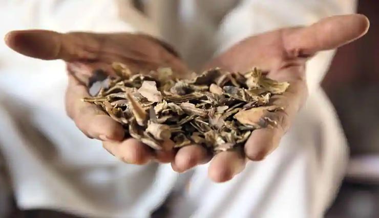 चुरू : अब तक की सबसे बड़ी कार्रवाई, ट्रक से जब्त किया गया एक करोड़ का डोडा-पोस्त