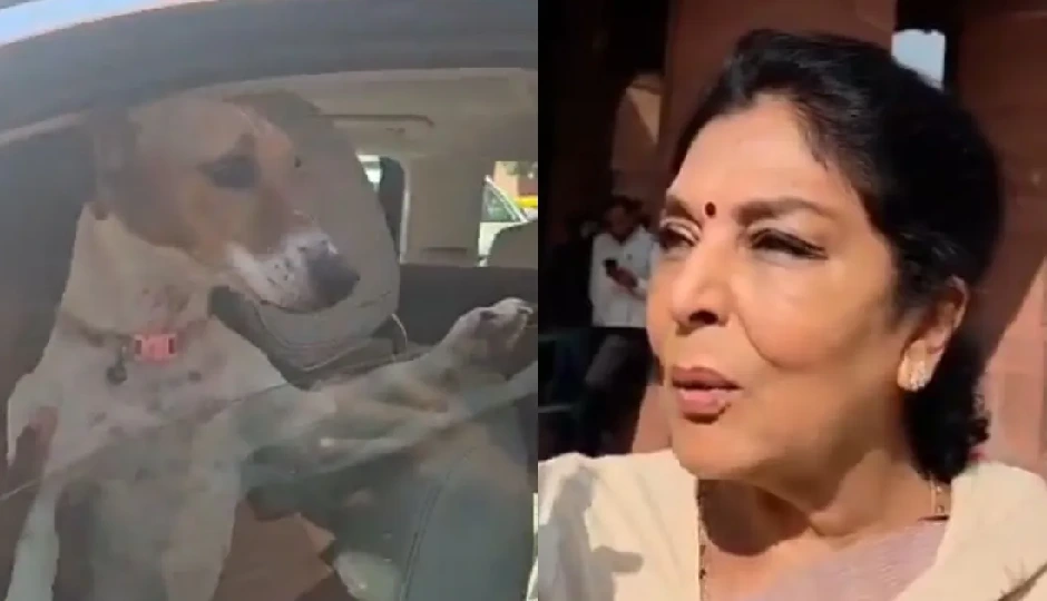 ‘यह काटता नहीं...’, संसद परिसर में पालतू कुत्ता लेकर पहुंचीं रेणुका चौधरी, भाजपा ने की कार्रवाई की मांग