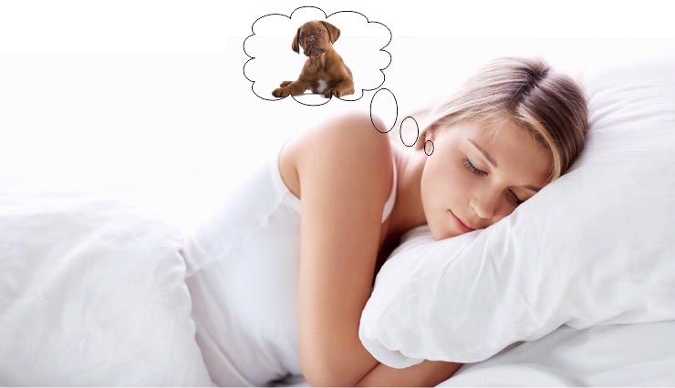 dreams,myths about dream,mythology about dreams