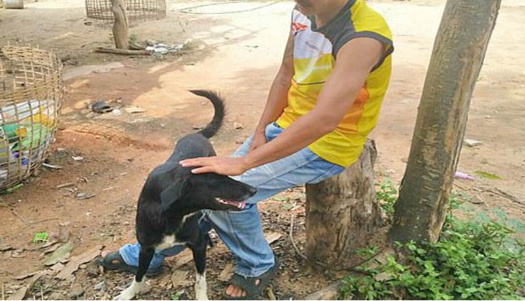 thailand,baby burried,teenage mother,dog,dog save life,weird story,omg ,थाईलैंड,नवजात बच्चे को जिंदा दफनाना,कुत्ते ने बचाई नवजात बच्चे की जान,अजब गजब खबरे हिंदी में