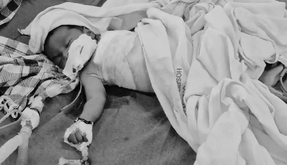 अजमेर में दिल दहला देने वाली घटना: झोपड़ी में सो रहे डेढ़ माह के मासूम को आवारा कुत्तों ने बनाया निशाना, इलाज के दौरान 5 दिन बाद मौत