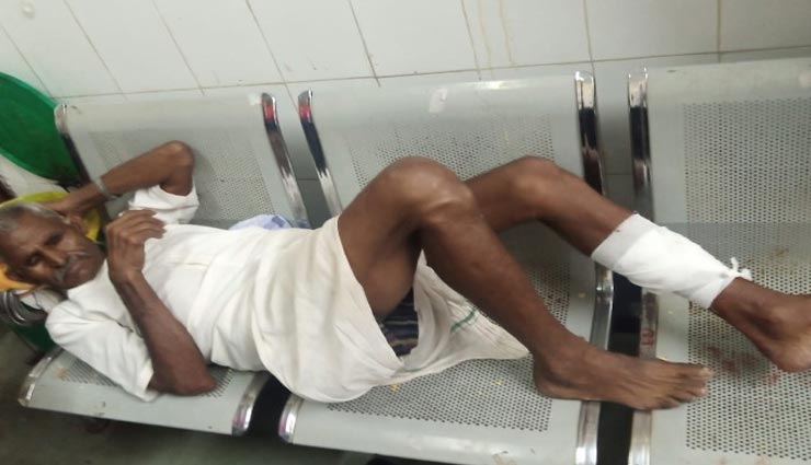 कोटा : पागल कुत्ते ने जमकर मचाया आतंक, 4 घंटे में 17 लोगों को बनाया शिकार 