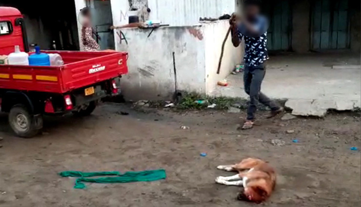maharashtra,dog,dog beating ,महाराष्‍ट्र 