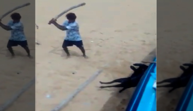 नाव में बांधकर कुत्ते को बुरी तरह डंडों से पीटा, सोशल मीडिया पर वीडियो वायरल 