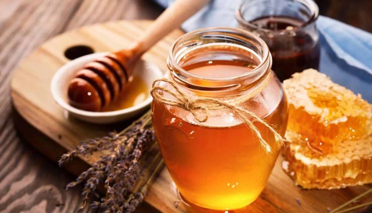 dog bite,home remedies for dog bite,Health tips,fitness tips