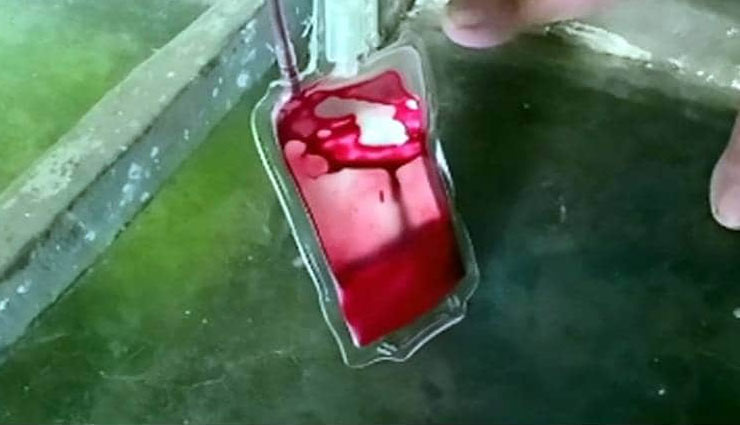 कुत्ते ने किया रक्तदान, बचाई दूसरे कुत्ते की जान, ऐसे हुआ मुमकिन dog,saves life,blood,blood donation,narsinghpur,madhya pradesh,dog news in hindi,blood donation news in hindi,weird news,weird news in hindi