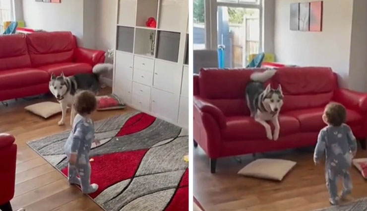 आपके स्ट्रेस को दूर कर देगा छोटे बच्चे और डॉग की मस्ती का ये वीडियो