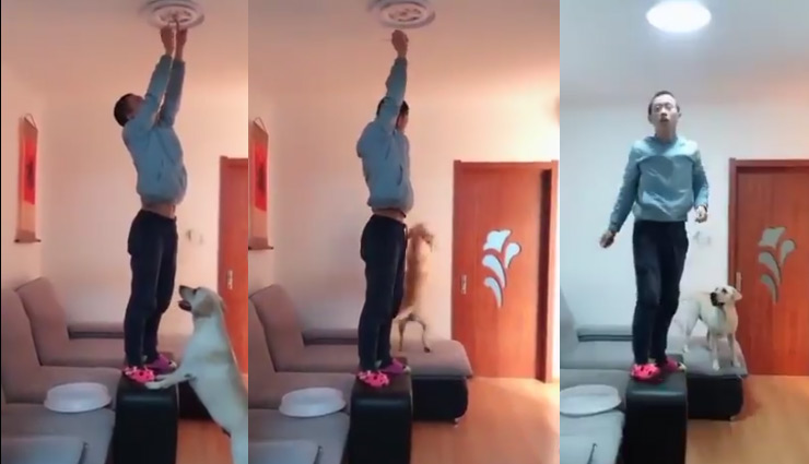  शख्स लगा रहा था सीलिंग लाईट तो कुत्ता ऐसे कर रहा था मदद, वीडियो ने जीता लोगों का दिल