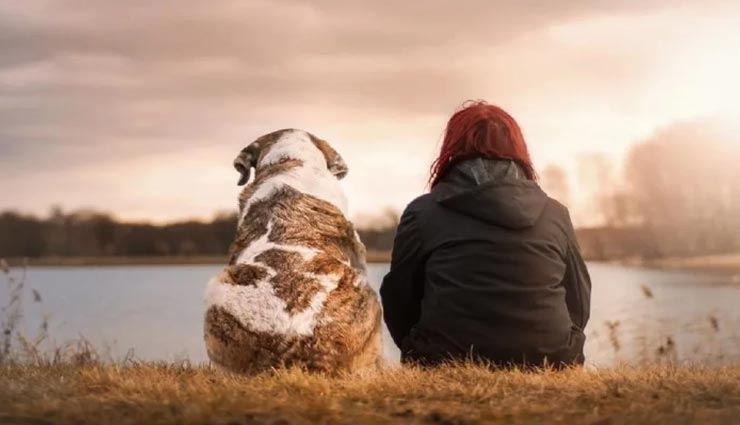 आपको भी सोचने पर मजबूर कर देगी दुनिया की ये अजीबोगरीब नौकरियां
