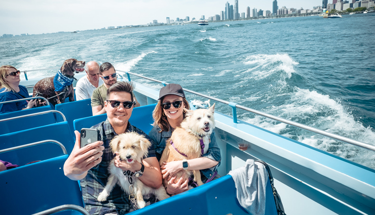 dog friendly destinations,pigeon forge doggy wood,gatlinburg river trails,tombstone,arizona,biltmore estate,the french quarter,old charleston ghost tours,bell rock vortex,garden of the gods,mercury canine cruise