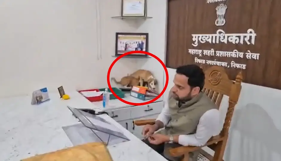 निफाड में आवारा कुत्तों के आतंक पर अनोखा विरोध, नगर पंचायत अधिकारी के दफ्तर में छोड़ दिए कुत्ते