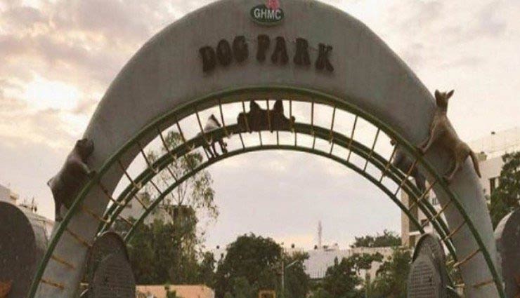 हैदराबाद में खुला पालतू कुत्तों के लिए विशेष ‘डॉग पार्क’, खर्च हुए इतने करोड़ रुपये