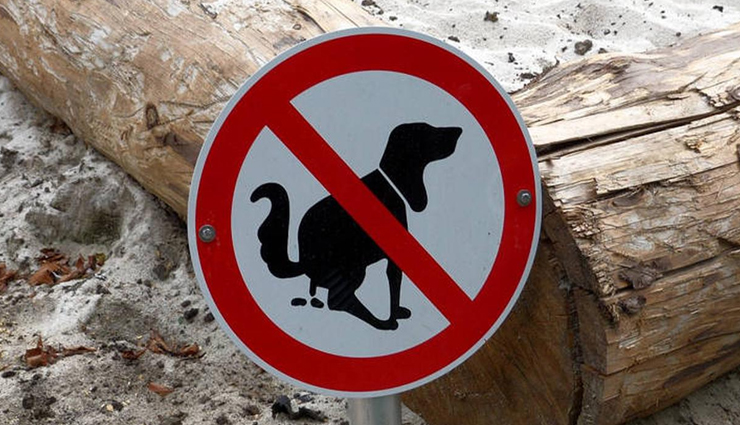 महिला ने 6 महीने पहले अपने कुत्ते को सड़क पर कराई थी पॉटी, अब आया 42 हज़ार जुर्माने का नोटिस!