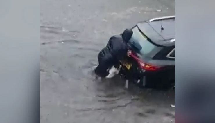 बाढ़ के पानी में फंसी कार तो महिला के साथ मिलकर कुत्ते ने भी लगाया धक्का, वीडियो ने जीता दिल 