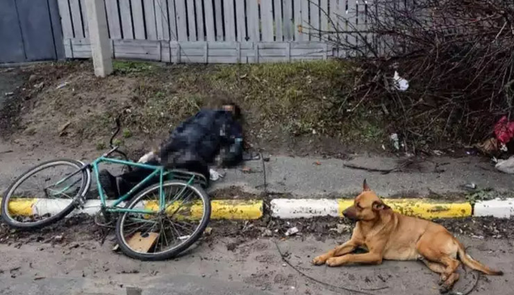 रूस-यूक्रेन युद्ध: मालिक की लाश के पास घंटों बैठा रहा वफादार कुत्ता, तस्वीर रुला देगी आपको 