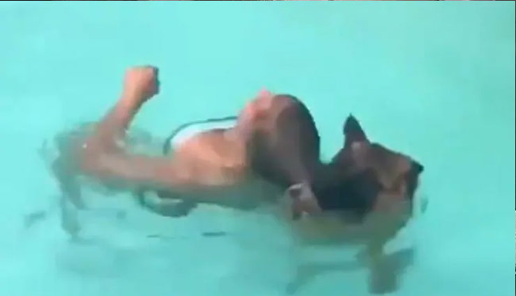 लड़की को डूबता देख स्वीमिंग पूल में कूदा कुत्ता, बचाई जान, वीडियो वायरल