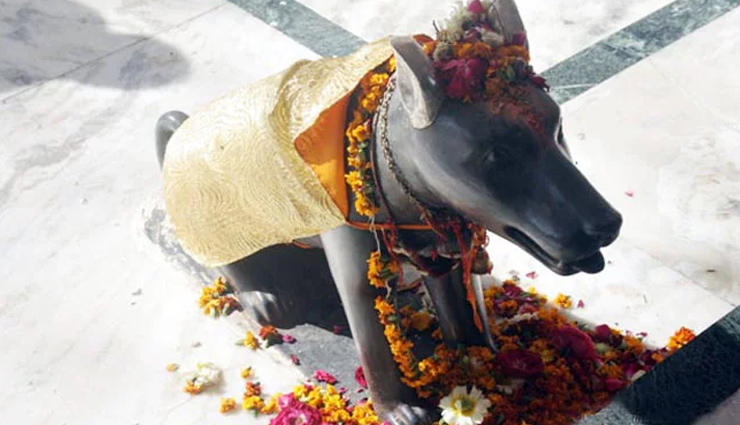 animals are worshiped in these 6 temples of india,holidays,travel,tourism