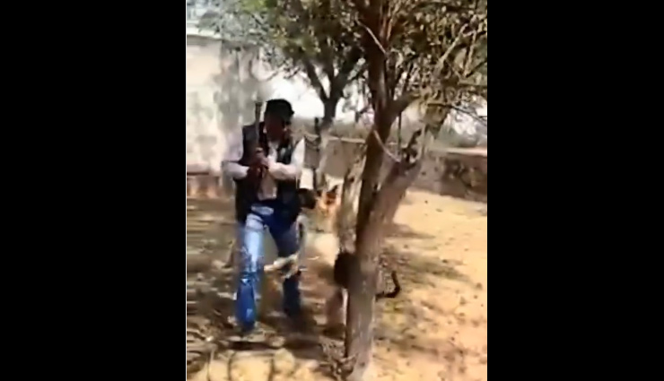 पेड़ काट रहा था शख्स, तभी कुत्ते  ने किया कुछ ऐसा... Video सोशल मीडिया पर हुआ वायरल 