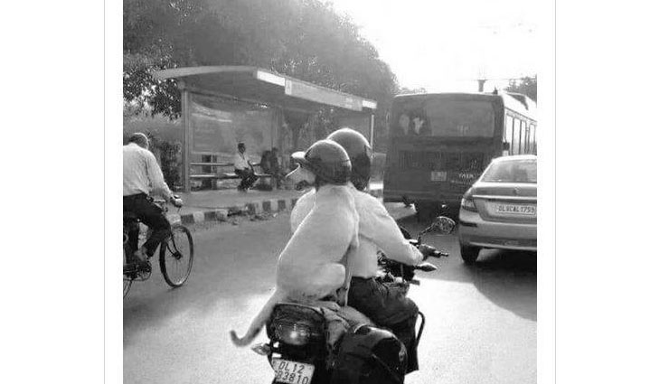  कुत्ते ने भी समझी हेलमेट की importance, पहन हुआ बाइक पर सवार, फोटो वायरल