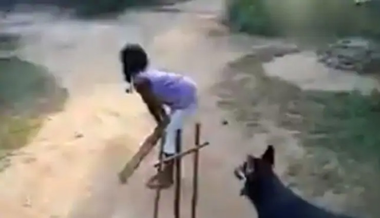 जब क्रिकेट मैच में विकेटकीपर बना कुत्ता, शॉट लगते ही गेंद पर यूं लपका, देखे वीडियो